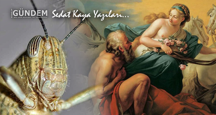 Zavallı Tithonus, Ne Çok İstemişti Ölmeyi