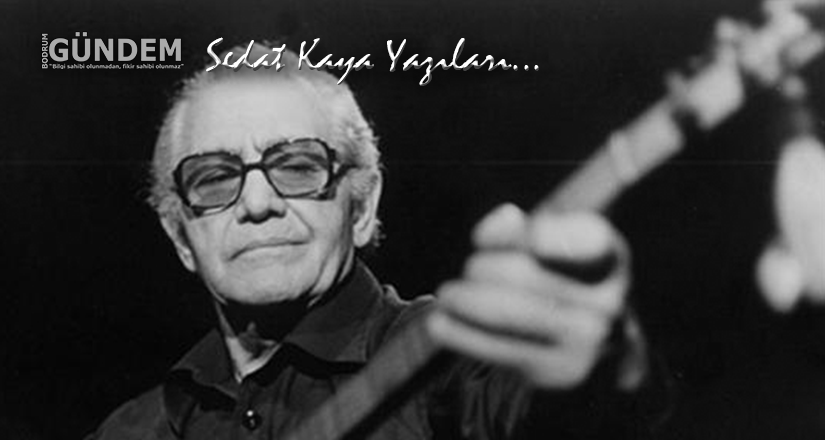 Sorarlar Birgün, Sorarlar – Sedat Kaya yazıları…