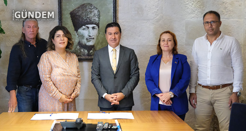 Sokak hayvanları için yeni protokol