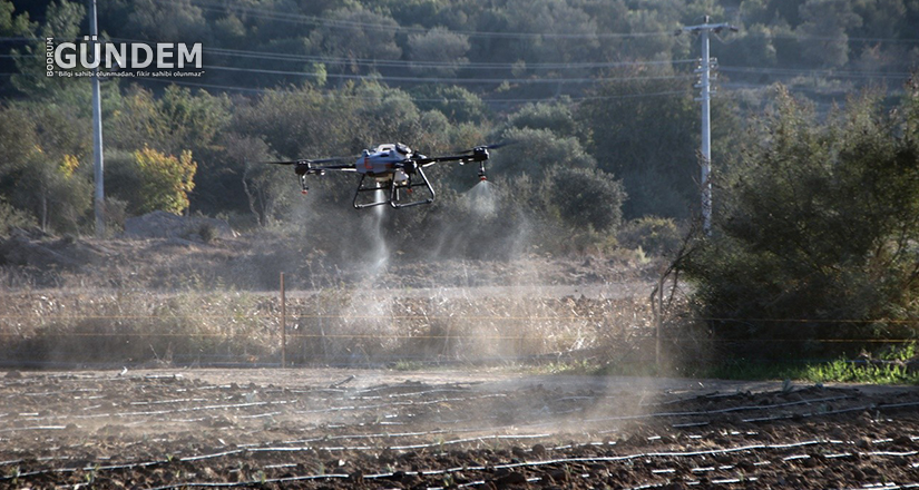 Bodrum Belediyesi’nde drone ile ilaçlama dönemi başlıyor