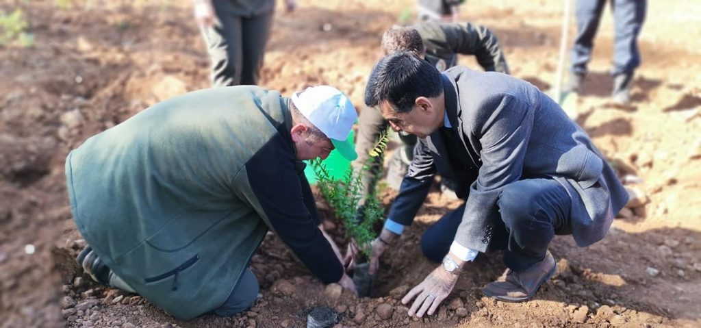 Köyceğiz’de Milli Ağaçlandırma Günü nedeniyle fidan dikildi
