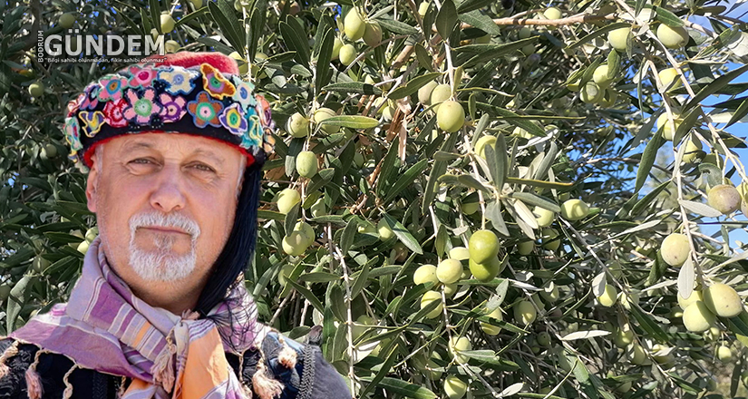 Ahı Tutan Bir Meyvedir Zeytin