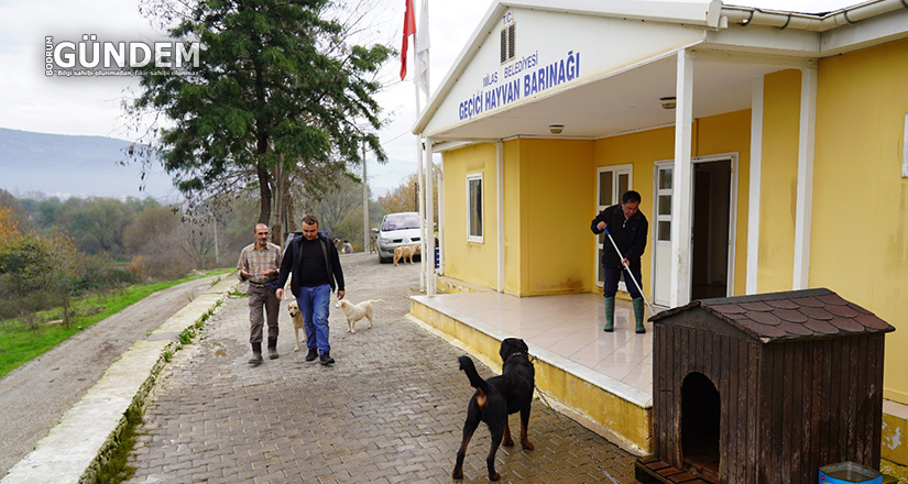 Böyle Bir Tablo Kesinlikle Yok