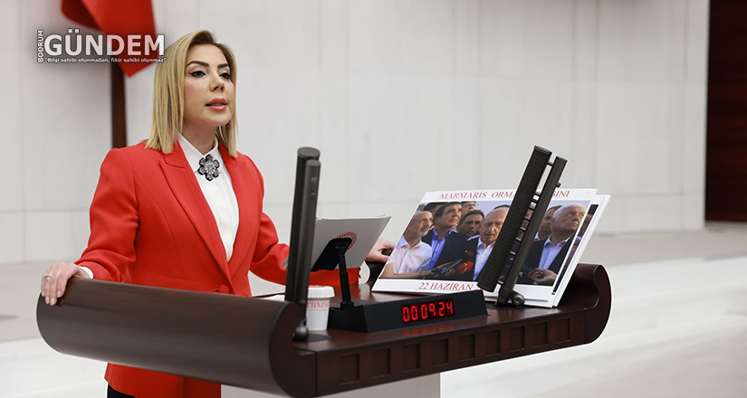 Muğlamızı bile yönetmekten aciz bir muhalefetin ülkemizi yönetmeye talip olması ancak akıl tutulmasıdır