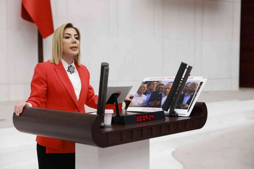 Ak Parti Muğla Milletvekili Gökcan’dan yeni yıl mesajı