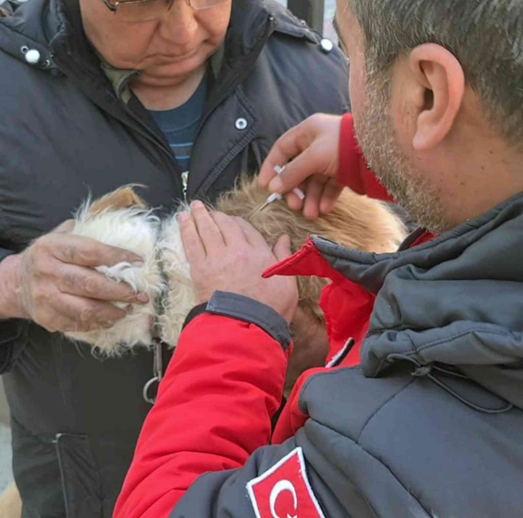 Muğla’da 37 bin havyana mikroçip takıldı