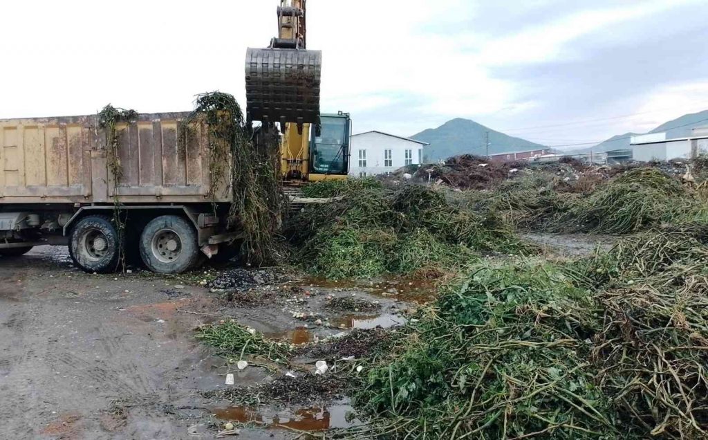 Ortaca’da yeşil alanlarda bakım çalışması