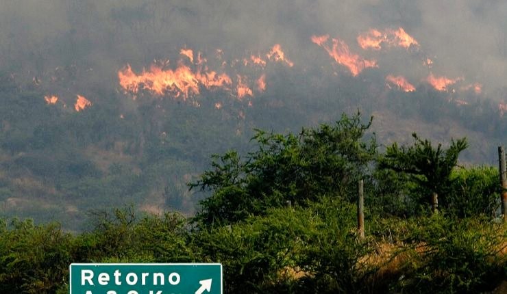 Şili’de orman yangını: 4 bin hektardan fazla alan kül oldu