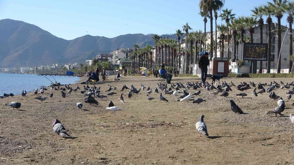 Ülkenin doğusunda kar, Marmaris’te deniz keyfi