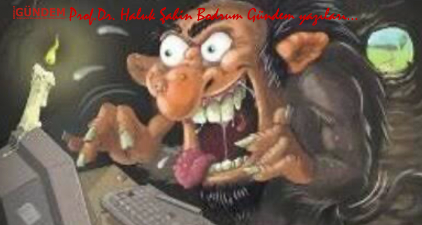Anti-iletişim ortamında seçim: Dikkat, trol çıkabilir!