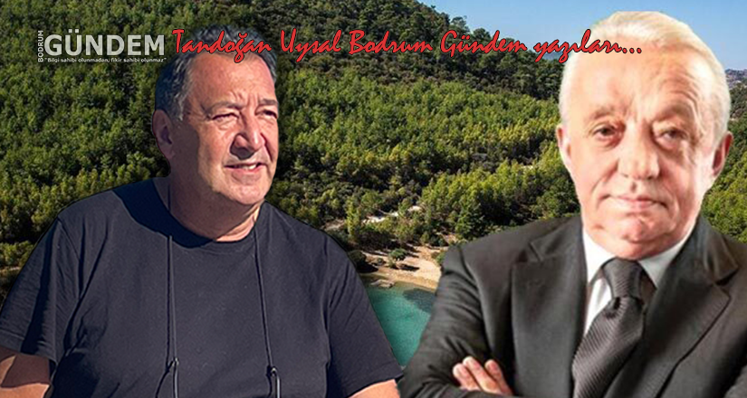 Cennet Koyunu, Cengiz Holding’e peşkeş çekenler neden eleştirilmiyor?