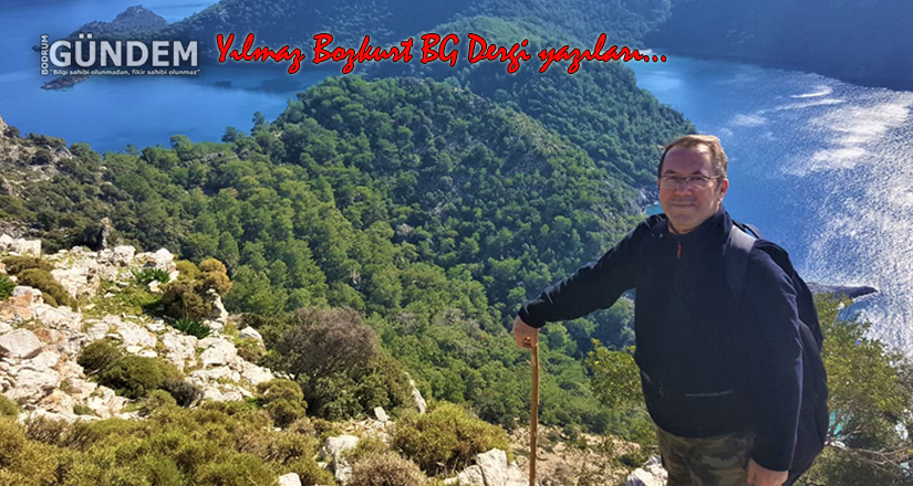 Kaybedenler Kulübü ( Bodrum Gerçeği Öyküsü )