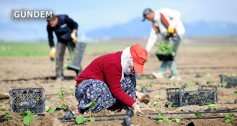 Tarım BAĞ-KUR primleri yüzde 50 oranında desteklenmelidir