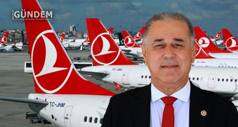 Türk Hava Yolları Sahipsiz Mi?