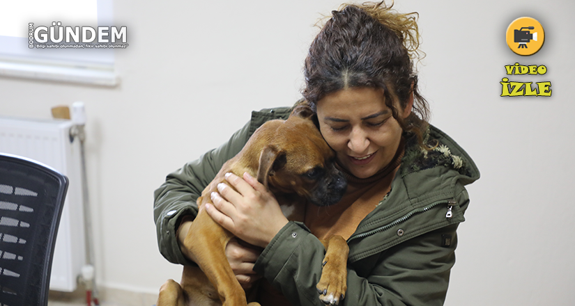 Depremzede aile ile depremzede köpeğin buluşma anı