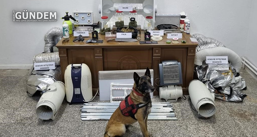 Evini uyuşturucu tarlasına çevirmiş