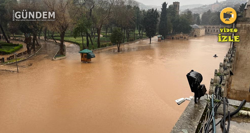 Şanlıurfa’daki sel felaketinin boyutu gündüz ortaya çıktı