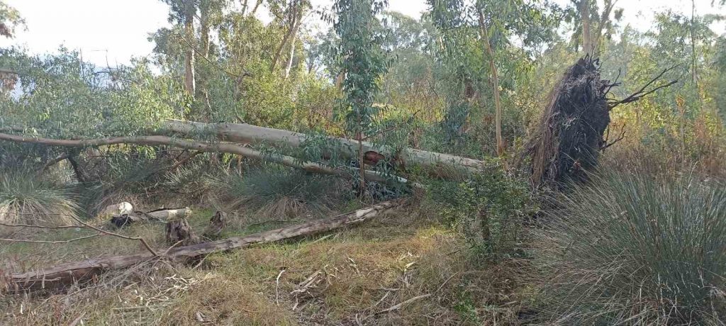 Marmaris Belediyesi’nden “Hisarönü Piknik Alanı projesi” açıklaması