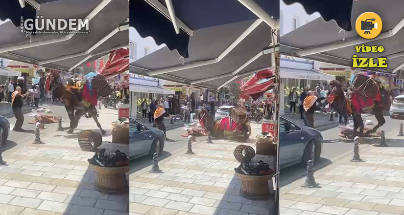 Çarşıda Panik Anları