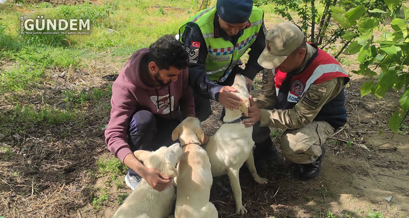 ‘Cesi’ depremden 73 gün sonra sahibine teslim edildi