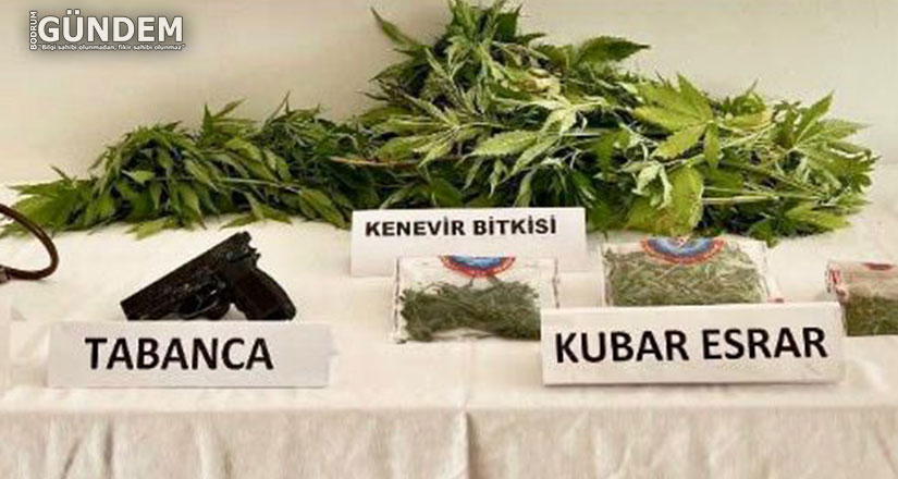 Uyuşturucu operasyonunda 1 gözaltı