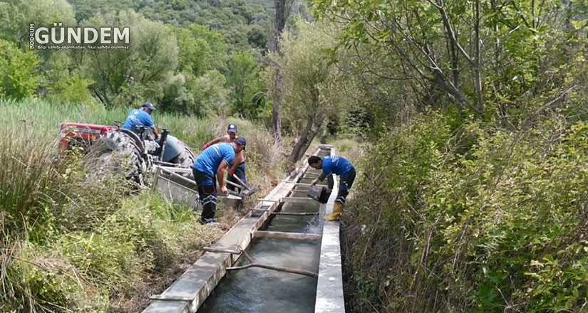 Büyükşehir’den Muğla Tarımına Destek