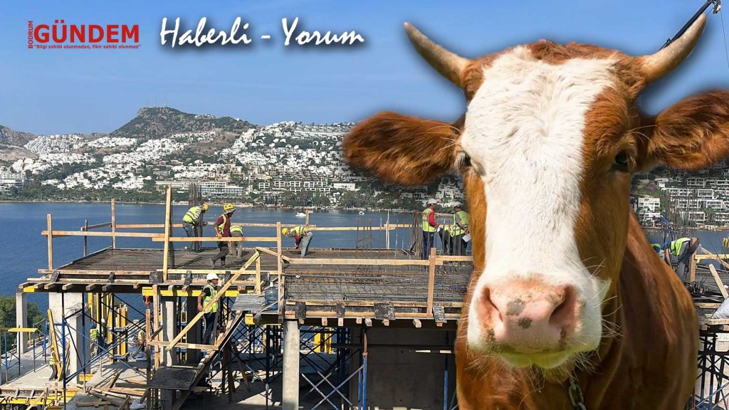 Kim takar İnşaat yasağını (yorumlu haber)