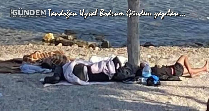 Bodrum markasına gölge düşüren görüntüler