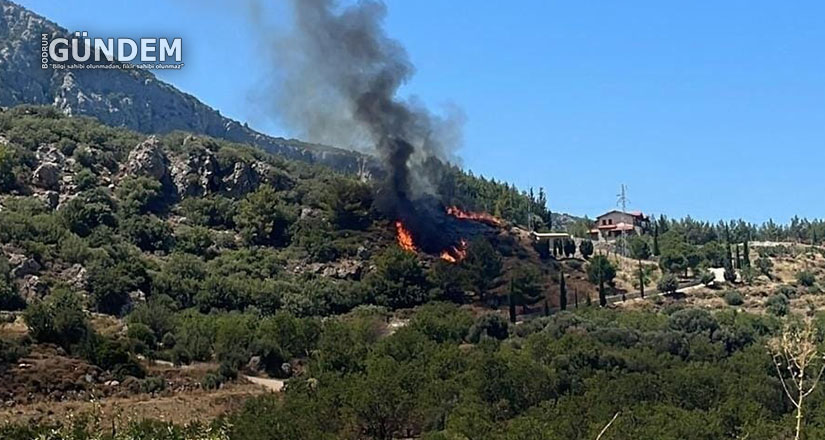 Datça’da yangın