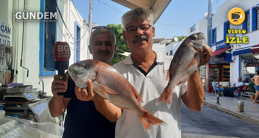 Fatih Bozoğlu İle Sokağın Sesi Bodrum Pazarı 14 Temmuz 2023
