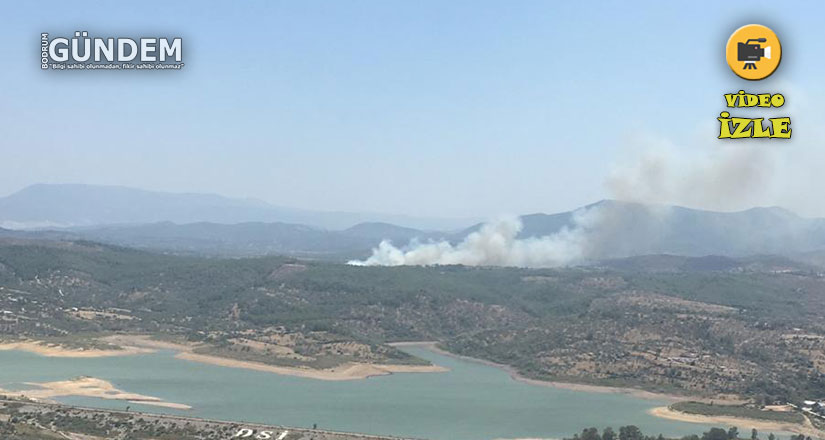 Kısılar’da Orman Yangını