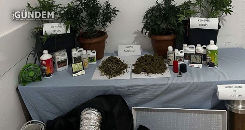 Uyuşturucu operasyonlarında 24 şüpheli yakalandı