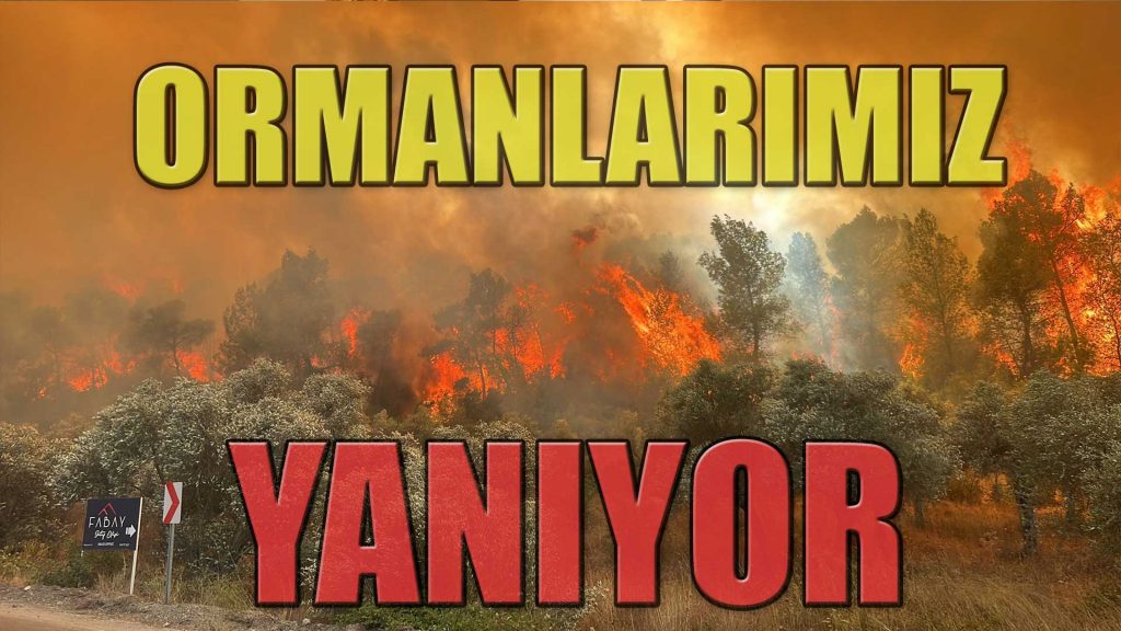 Yangın rüzgarın da etkisi ile büyüyor