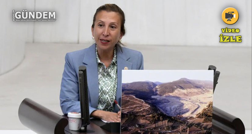 CHP’li Vekil Genel Kurulda Akbelen’in Sesini Duyurdu