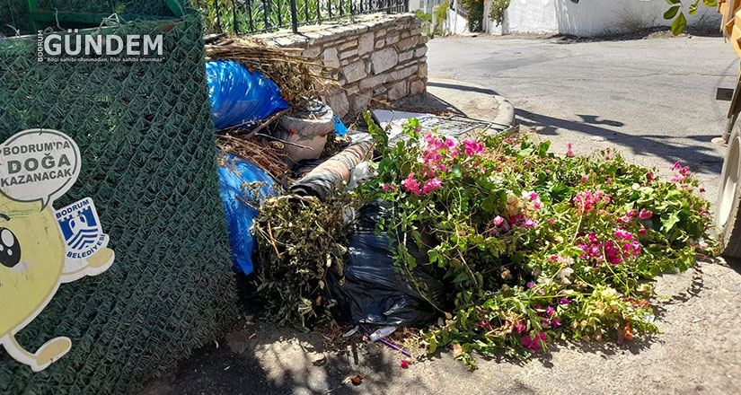 Temiz Bir Bodrum İçin Duyarlılığa Davet