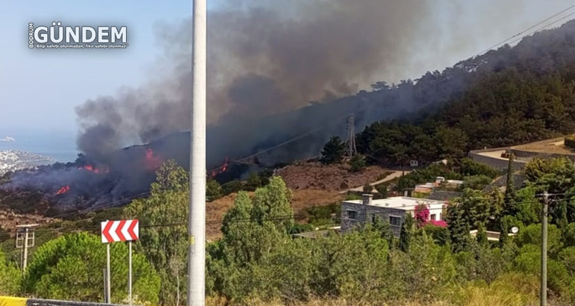 Yalıkavak’ta makilik alanda çıkan yangın söndürüldü