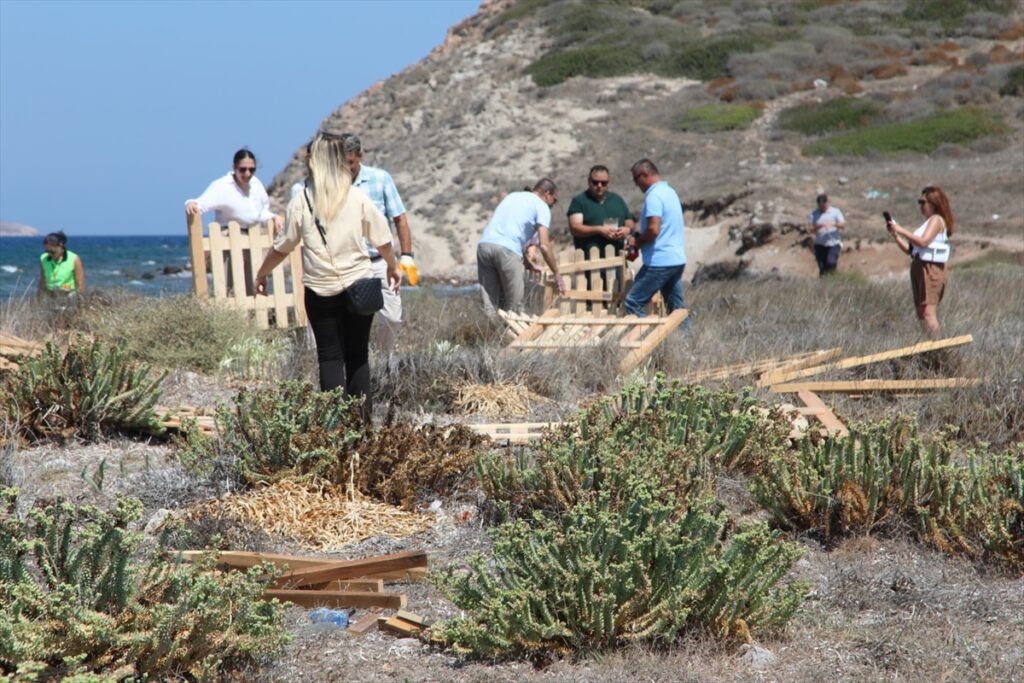 Bodrum’da kum zambakları koruma altına alındı