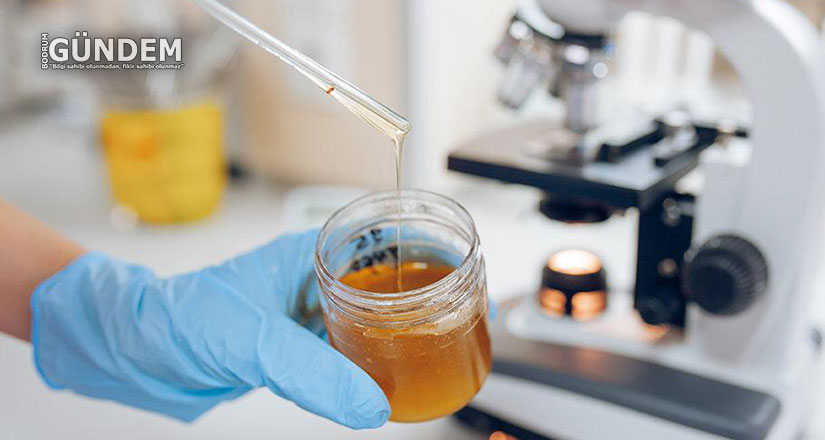 Gıda Analiz Laboratuvarı’nda Çalışmalar Sürüyor