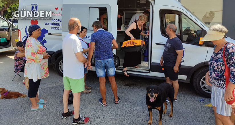 Sokak Hayvanlarına Yönelik Çalışmalar Sürüyor