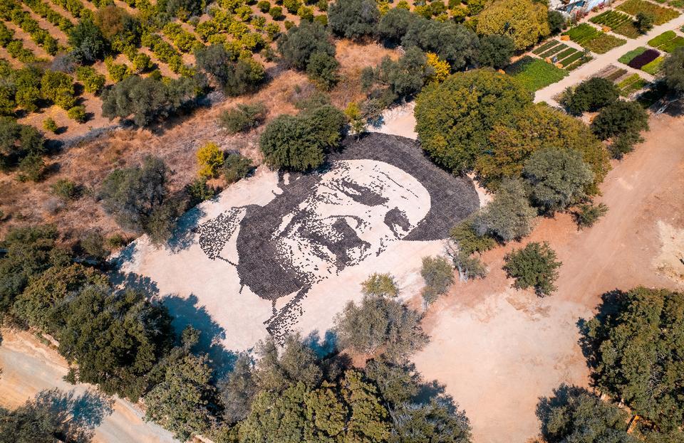 Aşık Veysel’in vefatının 50. yılında Bodrum’da topraktan dev portresi yapıldı