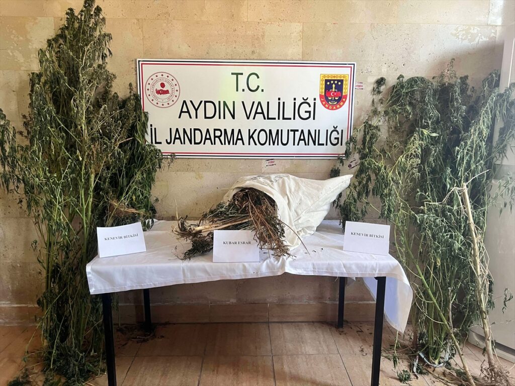 Aydın’da uyuşturucu operasyonunda 1 şüpheli gözaltına alındı