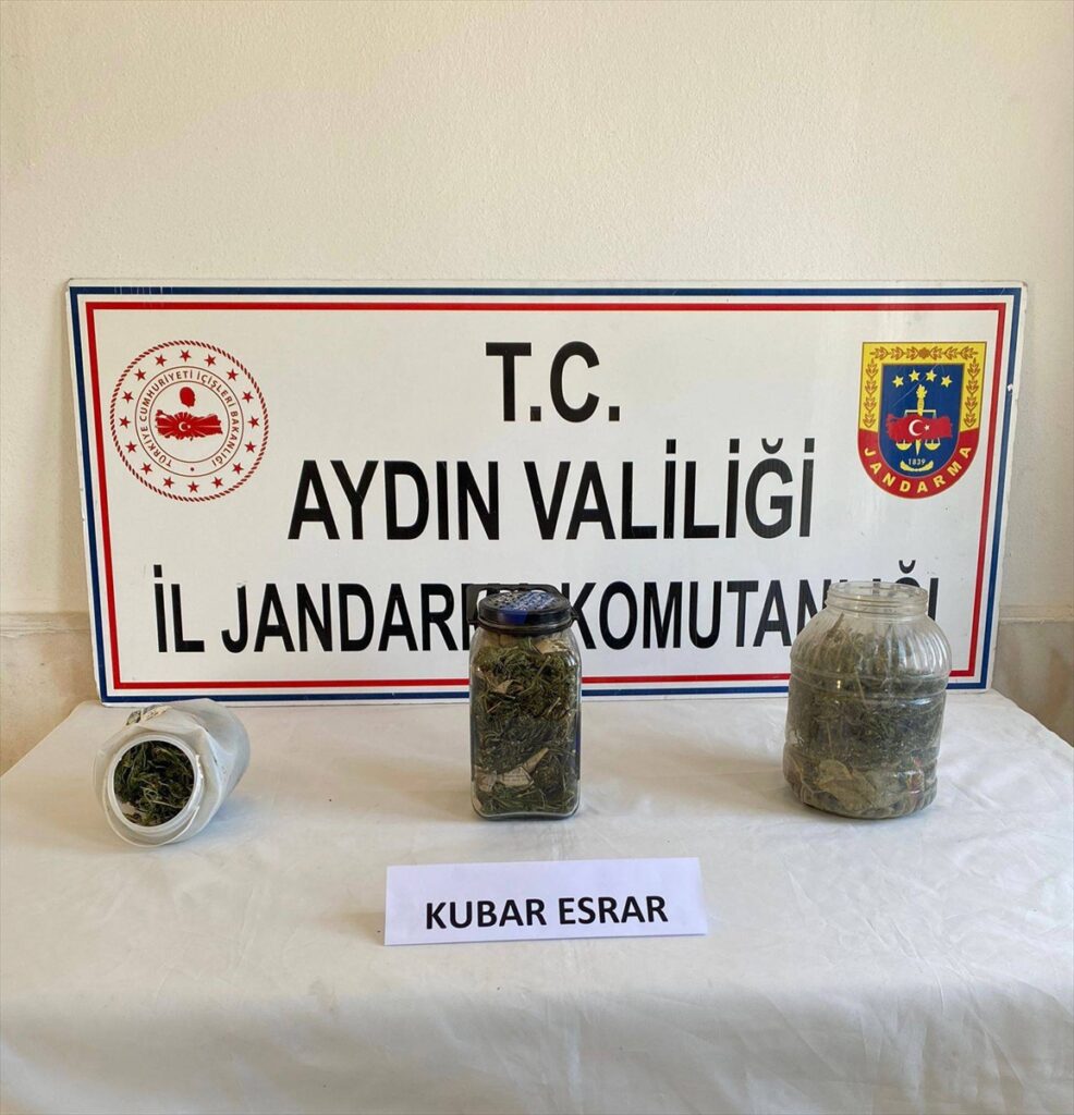 Aydın'daki uyuşturucu operasyonunda 2 kişi gözaltına alındı
