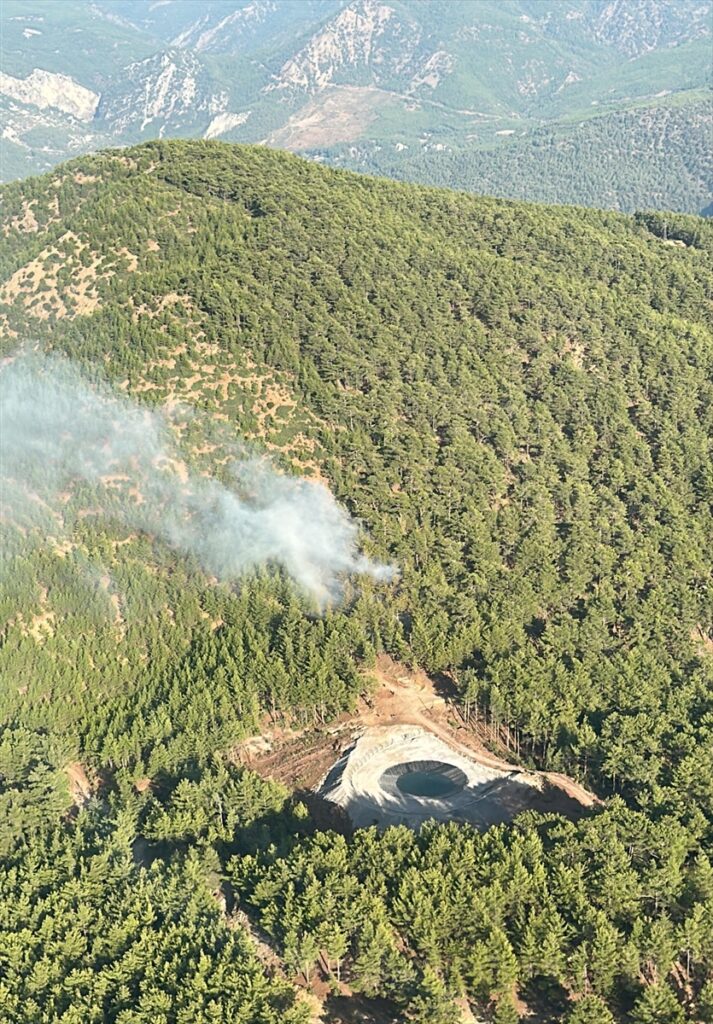 Köyceğiz'de çıkan orman yangını kontrol altına alındı