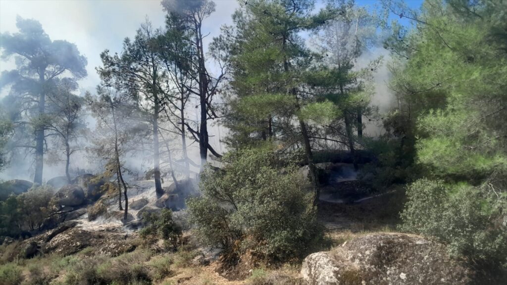 GÜNCELLEME – Muğla'da çıkan orman yangını söndürüldü