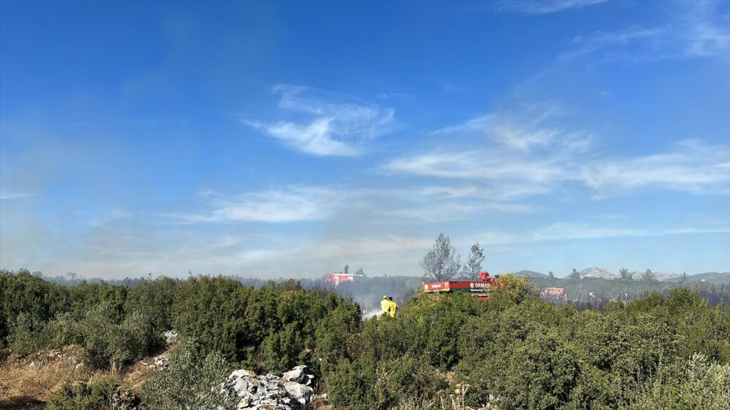 Muğla'da çıkan orman yangınına müdahale ediliyor