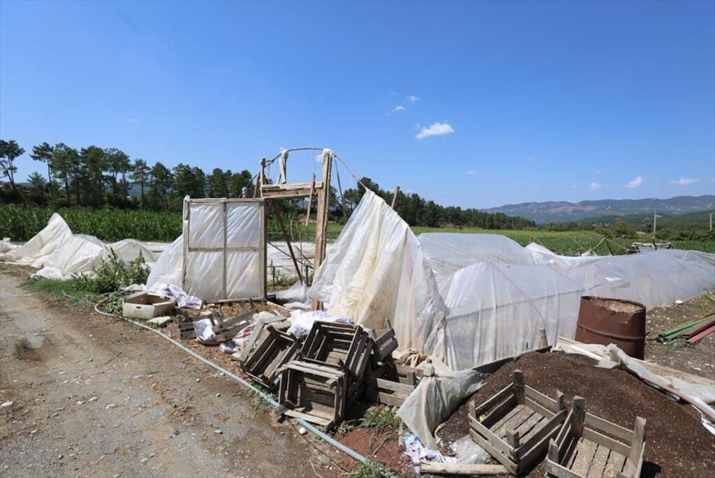 Muğla'da dolu ve fırtınadan etkilenen tarım alanlarında hasar tespiti yapılıyor