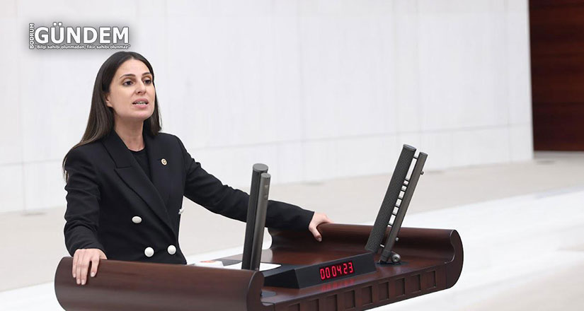 Motokuryelik mesleği işçi sağlığı temel alınarak yeniden düzenlenmelidir
