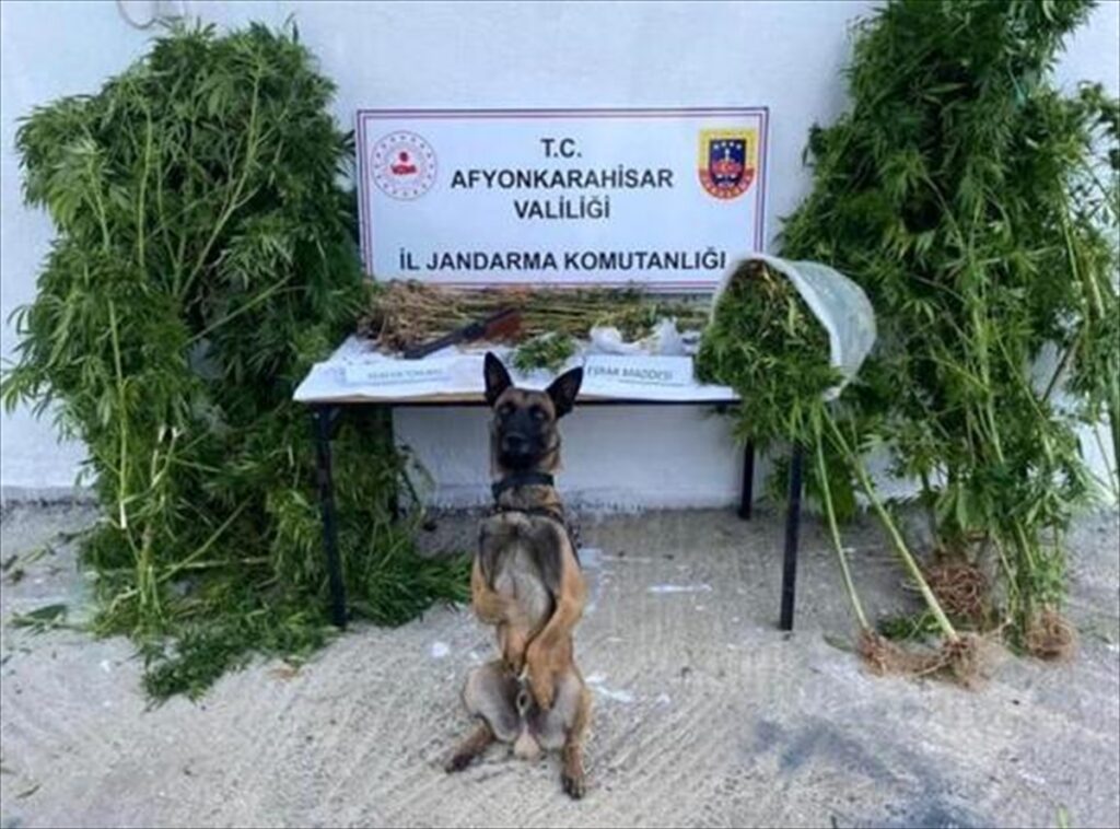 Afyonkarahisar'dan kısa kısa