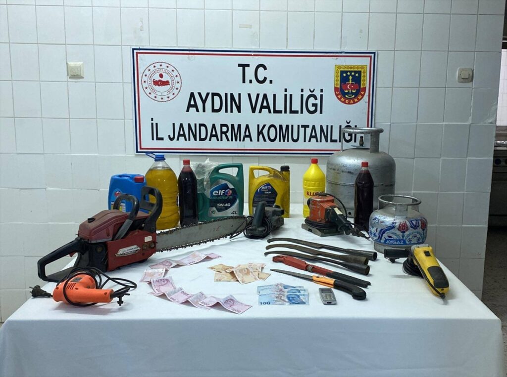 Aydın'da yayla evinden hırsızlık şüphelisi tutuklandı