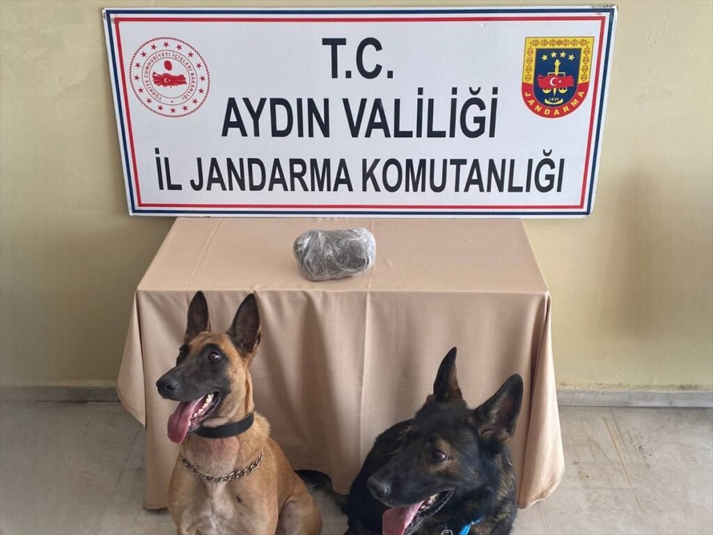 Aydın'da yolcu otobüsünde uyuşturucuyla yakalanan zanlı gözaltına alındı